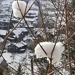 An Der Alten Saege * Bezau