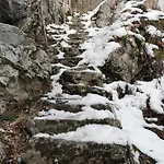 An Der Alten Saege *
