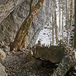 An Der Alten Saege