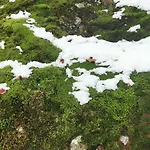 An Der Alten Saege Apartmán Bezau