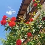 An Der Alten Saege Apartmán *