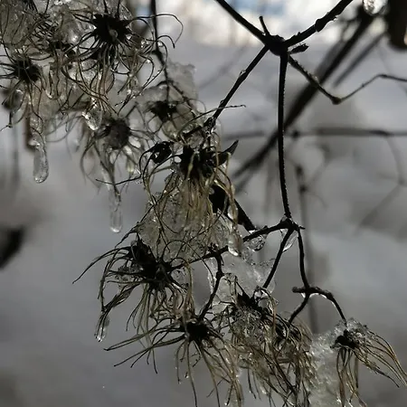 An Der Alten Saege Apartament *