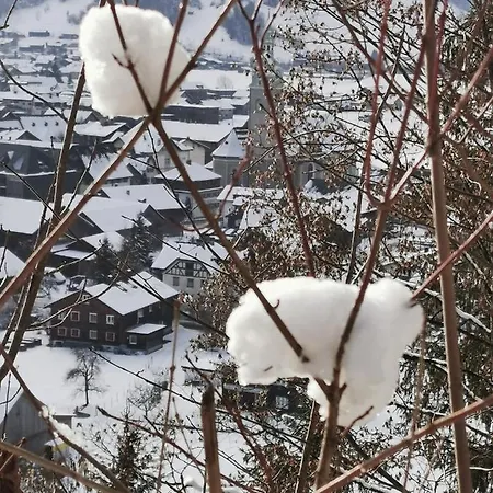 An Der Alten Saege * Bezau