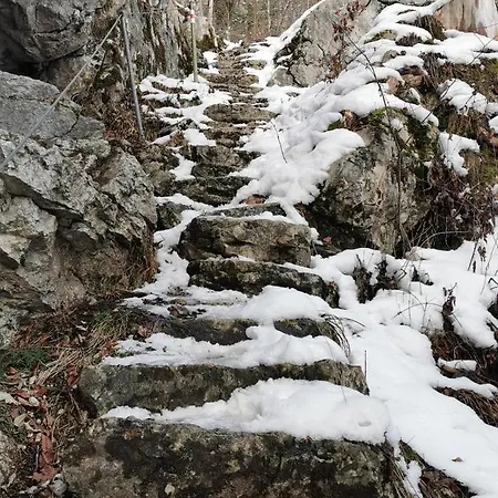 An Der Alten Saege *