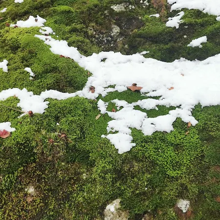 An Der Alten Saege Apartament Bezau