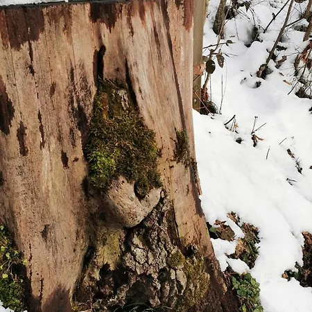 Apartament An Der Alten Saege *