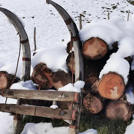 An Der Alten Saege Bezau