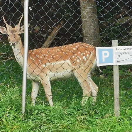 An Der Alten Sage Bezau