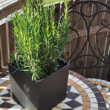 An Der Alten Saege Apartament Bezau