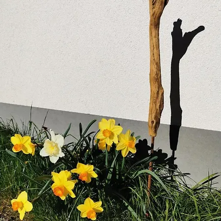 An Der Alten Sage Apartment *