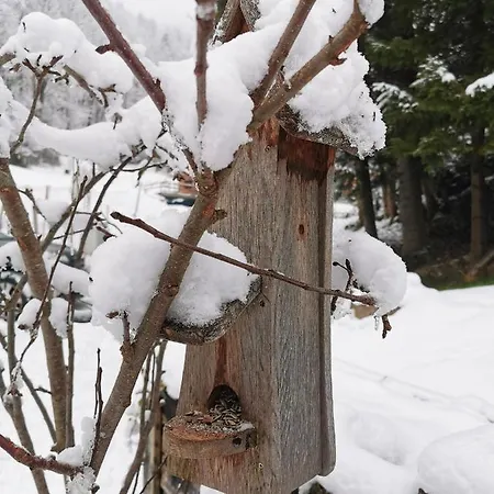 An Der Alten Saege Apartament Bezau
