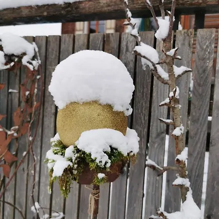 An Der Alten Saege Apartament Bezau