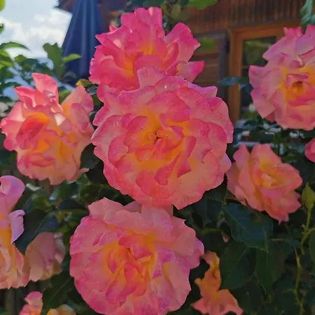 Apartament An Der Alten Saege *