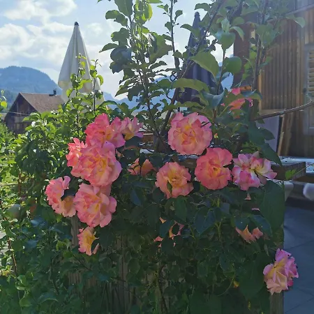 An Der Alten Saege *