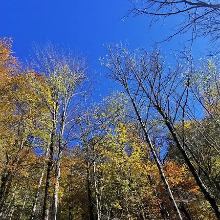 An Der Alten Saege Apartament