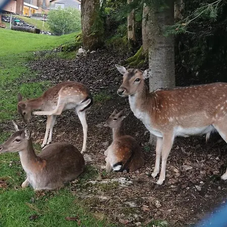 Apartmán An Der Alten Saege Bezau